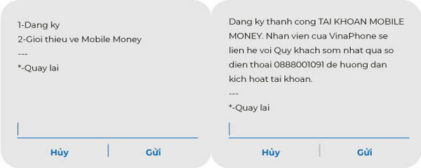 dang-ky-su-dung-vnpt-mobile-money-qua-ussd.jpg