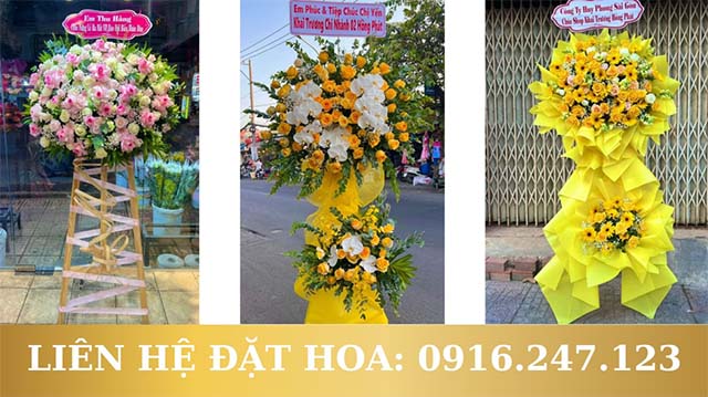 dat-hoa-khai-truong-tphcm-shop-hoa-vina.jpg