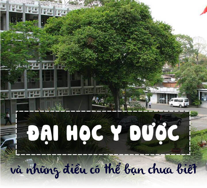 nhung-dieu-nen-biet-ve-dai-hoc-y-duong.jpg