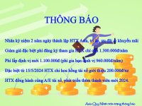 Tien-thuong-hoa-hong-Htx-asia-quy-nhon.jpg