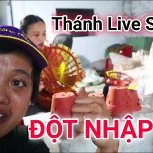 Đột nhập thánh live stream bán hàng online || MS7 Vlogs