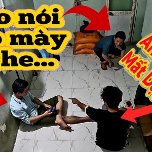 Anh Em Bác Sĩ troll xưng hô tao mày với Miêu Seven7, "ANH EM MÀY MẤT DẠY QUÁ" || MS7 Vlog