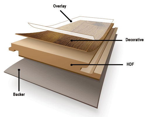 Cấu tạo gỗ HDF