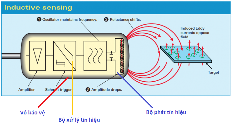 Cấu tạo sensor