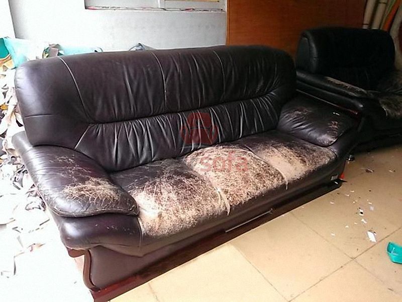 ghe-sofa-bi-hu-hong-BearSofa.jpg