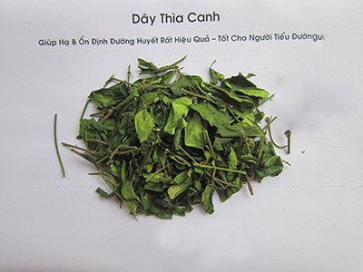 day-thia-canh-loai-mot.jpg